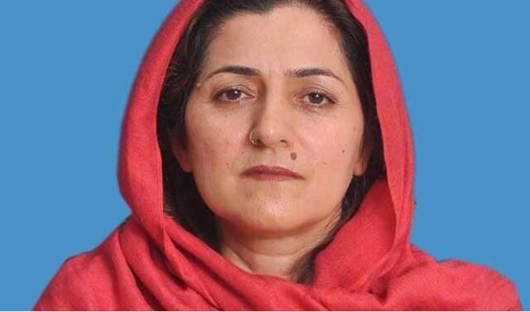 سینیٹر فلک ناز