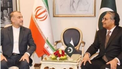 پاک ایران وزرائے خارجہ ملاقات، دہشت گردی کے خلاف اعلی سطحی کمیشن بنانے کا فیصلہ