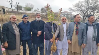 چودھری منیر کی جانب سے پھلدار پودوں کی مفت تقسیم