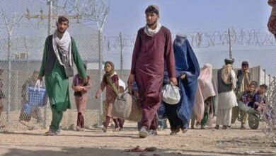 وفاقی کابینہ نے غیر قانونی افغان مہاجرین کے قیام کی مدت میں توسیع کی منظوری دے دی