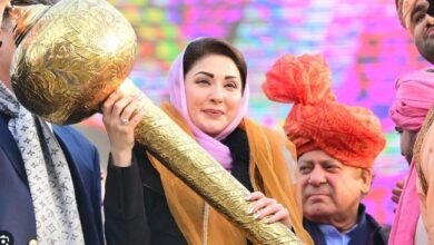 مریم نواز وزیراعلی پنجاب کے لیے امیدوار نامزد