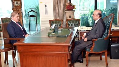 صدرِ مملکت آصف علی زرداری سے وزیر اعظم پاکستان شہباز شریف کی ملاقات