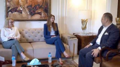 سینئر صوبائی وزیر شرجیل میمن سے برطانوی ہائی کمشنر کی ملاقات