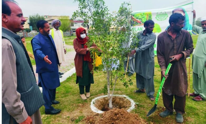 وطن کو سرسبز بنانے اور آلودگی سے بچانے کیلئے شجرکاری ضروری ہے' اسسٹنٹ کمشنر