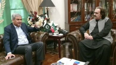 وزیر داخلہ کی وزیراعلی خیبر پختونخوا سے ملاقات، امن و امان کی صورتحال پر گفتگو