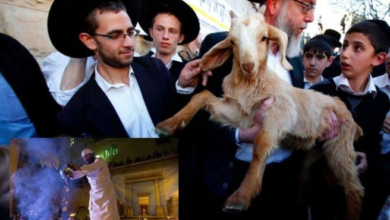 مسجد اقصیٰ میں قربانی کا جانور قربان کرنے کی کوشش پر 13 یہودی گرفتار