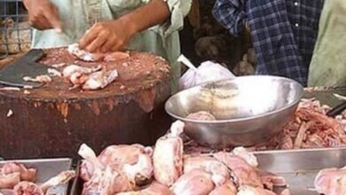 مرغی کی قیمت میں کمی کیلیے اقدامات کر رہے ہیں، وزیر خوراک پنجاب