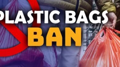 پنجاب میں 6جون سے پلاسٹک بیگز پر پابندی لگانے کا فیصلہ