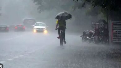 طوفانی بارشیں، ژالہ باری، پی ڈی ایم اے نے الرٹ جاری کر دیا