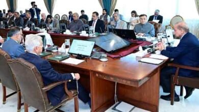 فیض آباد دھرنا کمیشن رپورٹ میں خامیوں پر کابینہ کمیٹی بنانے کا فیصلہ