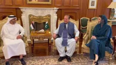 وزیراعلی پنجاب اور نواز شریف سے اماراتی سفیر کی ملاقات، دوطرفہ تعلقات پر تبادلہ خیال