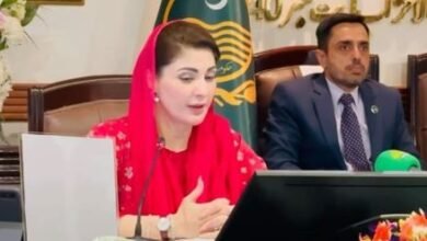 عوام کو بجلی بلوں میں ریلیف دینے کیلئے ایک بڑا پراجیکٹ لارہے ہیں، وزیراعلی مریم نواز