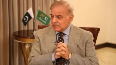 پاور سیکٹر اور ایف بی آر سے کرپشن ختم نہ ہوئی تو ملک کی ناو ڈوب سکتی ہے، وزیراعظم