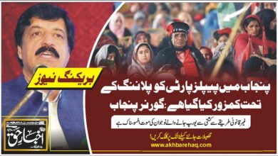 پنجاب میں پیپلزپارٹی کو پلاننگ کے تحت کمزور کیا گیا ہے: گورنر پنجاب