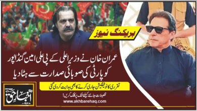 عمران خان نے وزیراعلیٰ کے پی علی امین گنڈاپور کو پارٹی کی صوبائی صدارت سے ہٹادیا