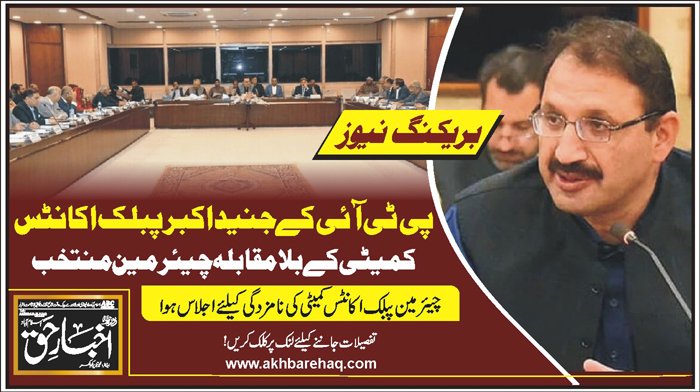 پی ٹی آئی کے جنید اکبر پبلک اکاؤنٹس کمیٹی کے بلامقابلہ چیئرمین منتخب