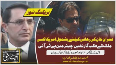 عمران خان کی رہائی کیلئے بشمول امریکا کسی ملک کے طلب گار نہیں: چیئرمین پی ٹی آئی