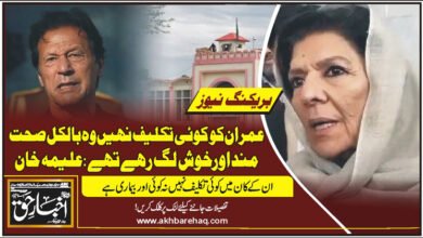 عمران کو کوئی تکلیف نہیں وہ بالکل صحت مند اور خوش لگ رہے تھے: علیمہ خان