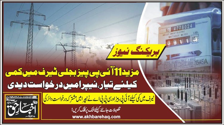 مزید 11 آئی پی پیز بجلی ٹیرف میں کمی کیلئے تیار، نیپرا میں درخواست دیدی