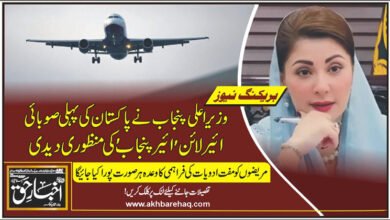 وزیراعلیٰ پنجاب نے پاکستان کی پہلی صوبائی ائیرلائن 'ائیر پنجاب' کی منظوری دیدی