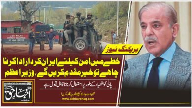 پہلگام واقعہ: خطے میں امن کیلئے ایران کردار ادا کرنا چاہے تو خیر مقدم کریں گے، وزیراعظم