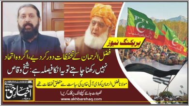 فضل الرحمان کے تحفظات دور کر دیے، اگر وہ اتحاد نہیں رکھنا چاہتے تو یہ انکا فیصلہ ہے: شیخ وقاص