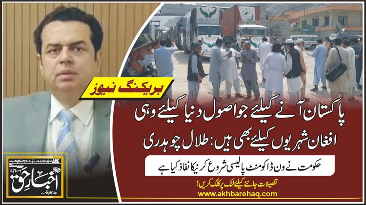 پاکستان آنے کیلئے جواصول دنیا کیلئے وہی افغان شہریوں کیلئے بھی ہیں: طلال چوہدری