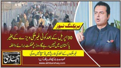 30 اپریل کے بعد کوئی غیر ملکی ویزے کے بغیر پاکستان میں نہیں رہے گا، وزیر مملکت برائے داخلہ