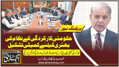 حکومتی کارکردگی کے نظام کی بہتری کیلئے کمیٹی تشکیل