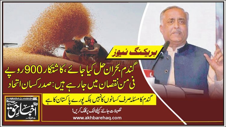 گندم بحران حل کیا جائے، کاشتکار 900 روپے فی من نقصان میں جارہے ہیں: صدر کسان اتحاد
