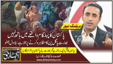 پاکستان کا پہلگام واقعے میں ہاتھ نہیں، بھارت پاگل پن کامظاہرہ کرنے پر تلا ہے : بلاول بھٹو