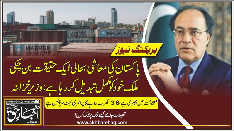 پاکستان کی معاشی بحالی ایک حقیقت بن چکی، ملک خود کو مکمل تبدیل کر رہا ہے: وزیر خزانہ