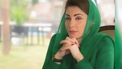 بھارتی حملوں کیخلاف قوم نے سیسہ پلائی دیوار کی طرح ملکی سلامتی میں حصہ ڈالا: مریم نواز