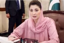 غیر قانونی ہاؤسنگ اسکیموں کو ایمنسٹی دینے پر غور کرنا ہوگا: وزیر اعلیٰ پنجاب