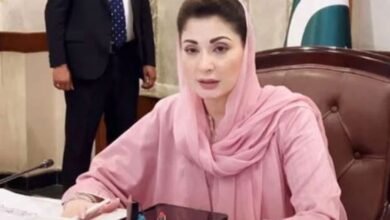 غیر قانونی ہاؤسنگ اسکیموں کو ایمنسٹی دینے پر غور کرنا ہوگا: وزیر اعلیٰ پنجاب