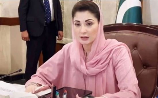 غیر قانونی ہاؤسنگ اسکیموں کو ایمنسٹی دینے پر غور کرنا ہوگا: وزیر اعلیٰ پنجاب