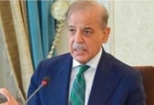 ایران اسرائیل جنگ بندی میں پاکستان نے انتہائی مؤثر کردار ادا کیا: وزیراعظم