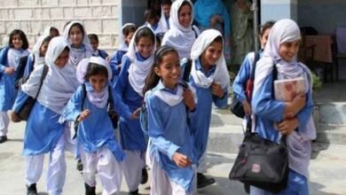 کل سے پنجاب بھر کے تمام اسکول معمول کے مطابق کھول دیے جائیں گے، نوٹیفکیشن جاری