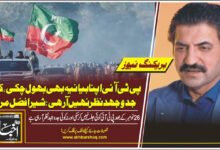 پی ٹی آئی اپنا بیانیہ بھی بھول چکی، کوئی جدوجہد نظر نہیں آرہی: شیر افضل مروت