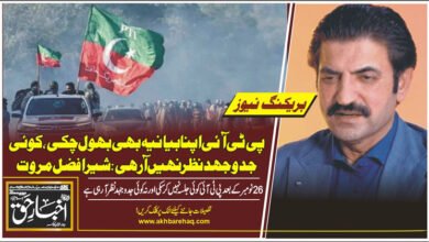 پی ٹی آئی اپنا بیانیہ بھی بھول چکی، کوئی جدوجہد نظر نہیں آرہی: شیر افضل مروت