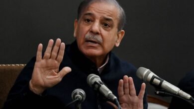 10 مئی کو قوم نے اتحاد سے دشمن کو تاریخی شکست دی جسے وہ قیامت تک یاد رکھے گا: وزیراعظم