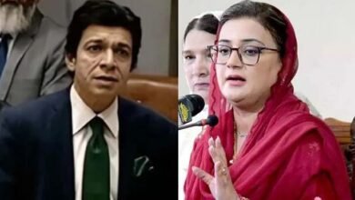 عظمیٰ بخاری نے فیصل واوڈا کو ’ذہنی مریض‘ اور ’سستا شاہ رخ خان‘ قرار دیدیا