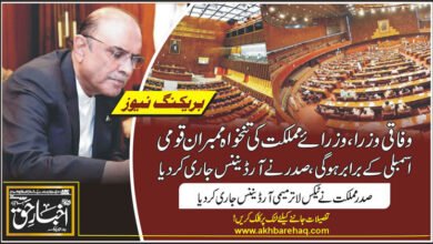 وفاقی وزراء، وزرائے مملکت کی تنخواہ ممبران قومی اسمبلی کے برابر ہوگی، صدر نے آرڈیننس جاری کر دیا