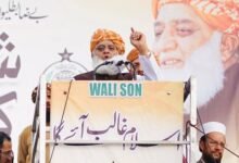 ملک امریکا کی رضامندی سے چلاتے ہیں تو پھر جمہوریت کی بات کیوں کرتے ہیں؟ فضل الرحمان
