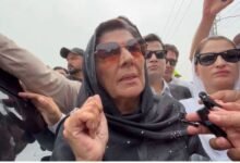’میرا خیال ہے مائنس عمران خان ہی ہوگیا ہے‘: علیمہ خان