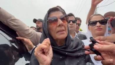 ’میرا خیال ہے مائنس عمران خان ہی ہوگیا ہے‘: علیمہ خان