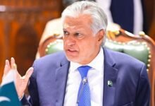 پاکستان نے بھارت کے 3 کے بجائے4 رافیل طیارے گرائے، اسحاق ڈار