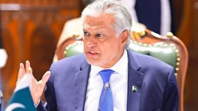 پاکستان نے بھارت کے 3 کے بجائے4 رافیل طیارے گرائے، اسحاق ڈار