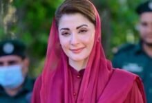 نواز شریف کو مائنس کہنے والے آج خود مائنس ہوگئے: مریم نواز