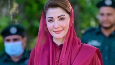 نواز شریف کو مائنس کہنے والے آج خود مائنس ہوگئے: مریم نواز